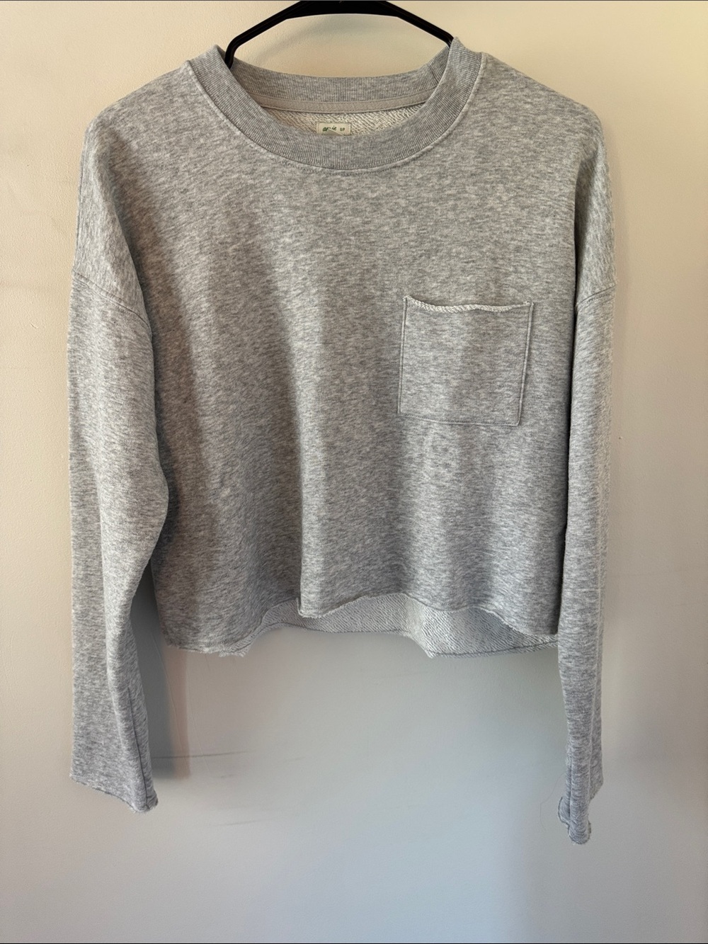 aerie Light Gray Cropped Crewneck Sweatshirt with Pocket and raw hems